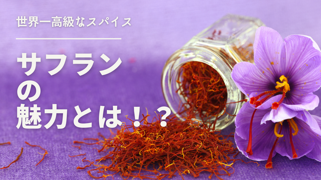 世界一高価なスパイス「サフラン」の魅力とは？知られざる歴史と暮らしへの取り入れ方